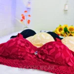 Seamless Lace Plus Size Push-Up Bra - Image 5