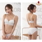 Embroidery Push-Up Bra & Penty Set - Image 4