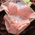 Embroidery Push-Up Bra & Penty Set - Image 3